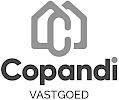 Copandi logo