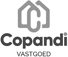 Copandi logo